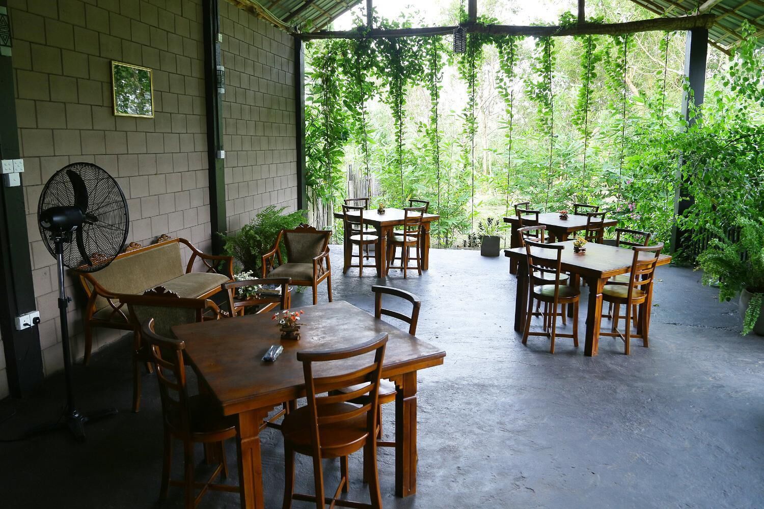 Un espace extérieur aménagé en terrasse, avec des tables et des chaises en bois, entouré d’une végétation luxuriante.