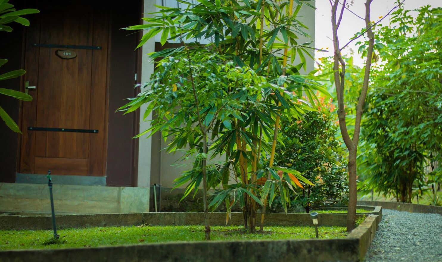Un jardín con una puerta de madera con el número 101 y un pequeño árbol en una jardinera.