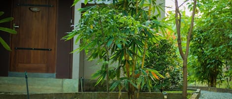 Un jardín con una puerta de madera con el número 101 y un pequeño árbol en una jardinera.