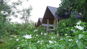 A building with a sloped roof surrounded by lush greenery and white flowers. - Hantara Udawalawa (Udawalawa)