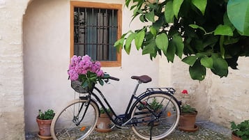 A bicycle parked in front of a building with a window and potted plants.