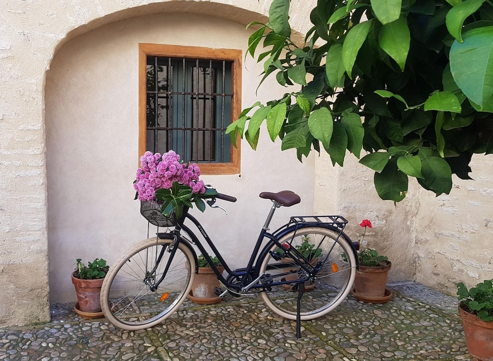 Palacio Bucarelli by null