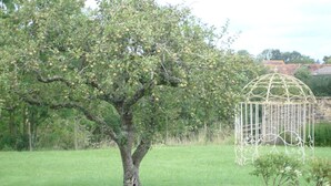 A tree with fruit, a metal gazebo, and a stone wall in the background. - Le Manoir de la Baronnie (Boischampré)
