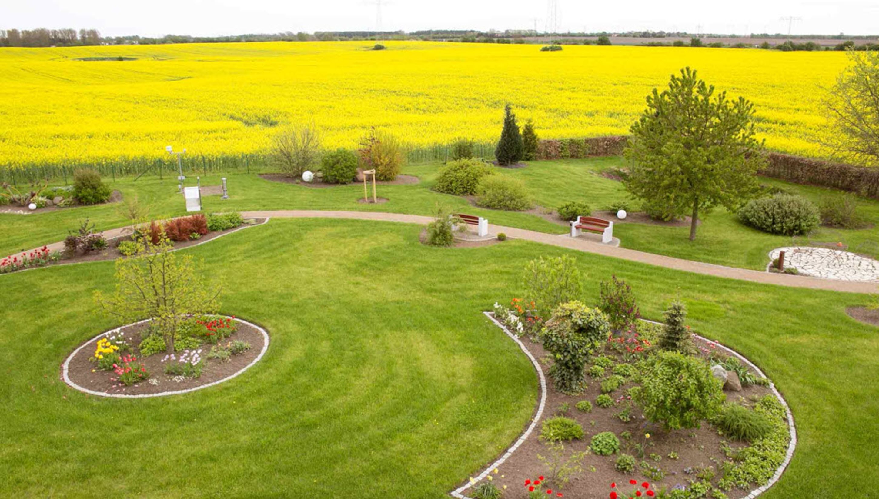 A landscaped garden with a central lawn, surrounded by flower beds and a variety of shrubs.
