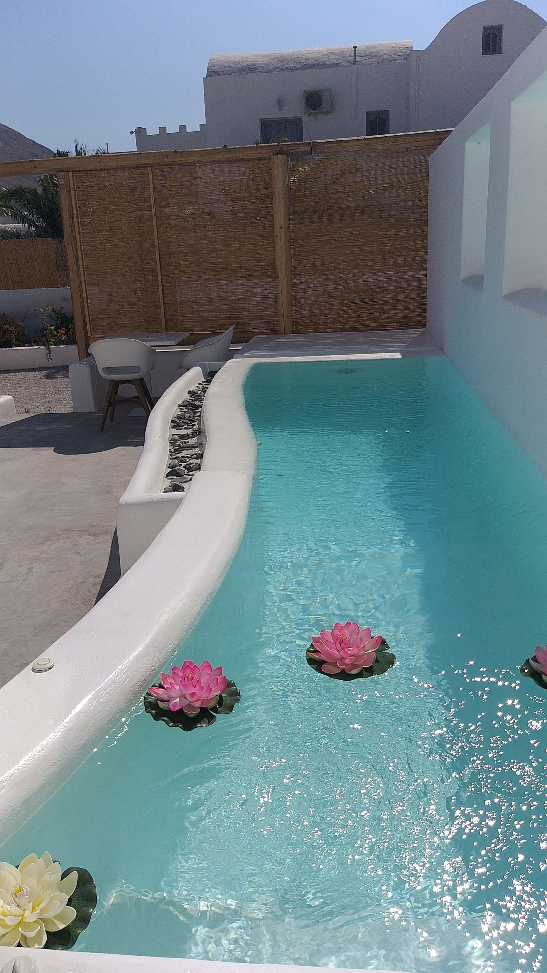 seasonal outdoor pool, pool loungers