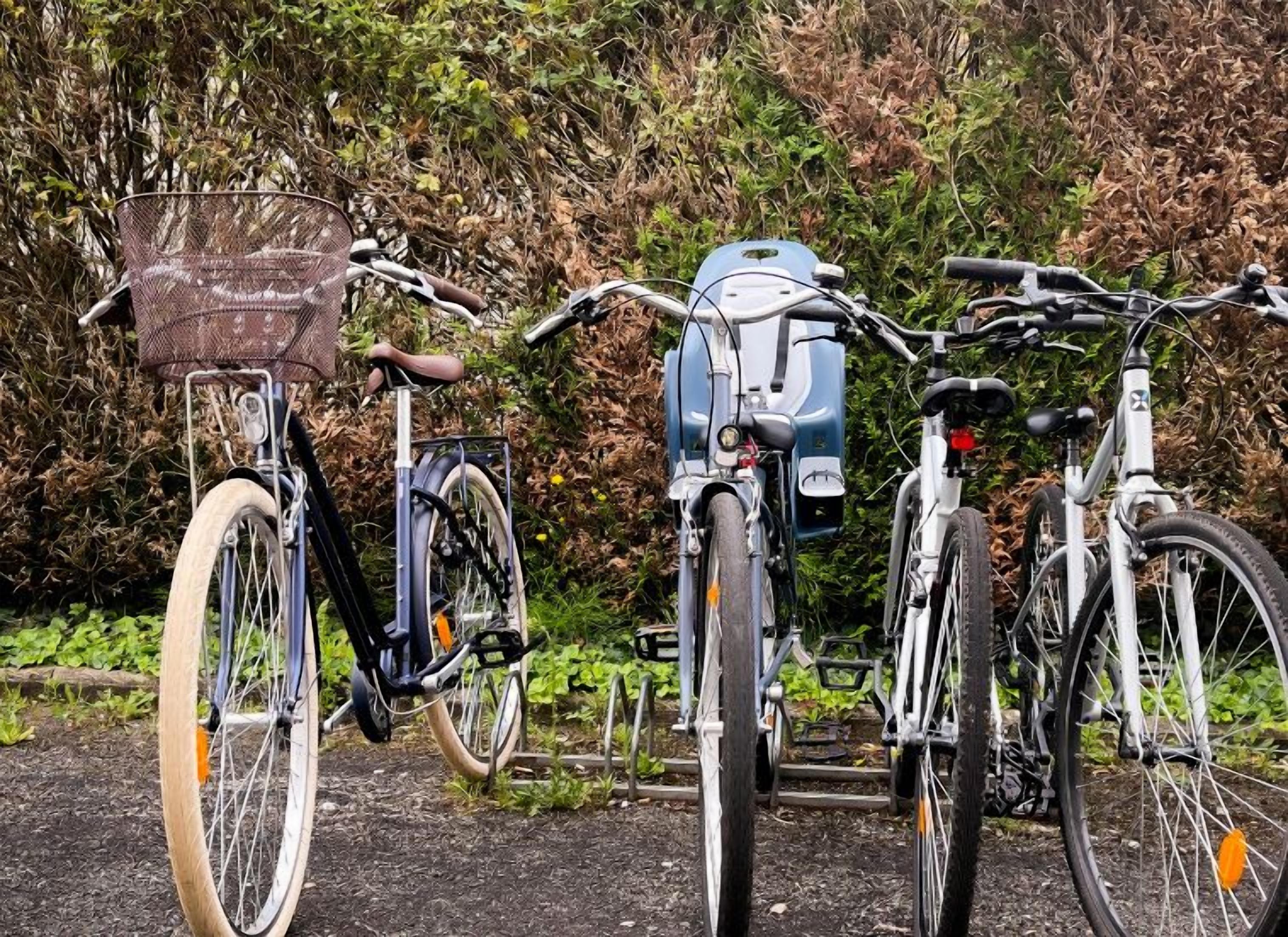Three bicycles parked in a row, each with a basket and a water bottle attached.
