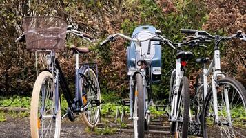 Three bicycles parked in a row, each with a basket and a water bottle attached.