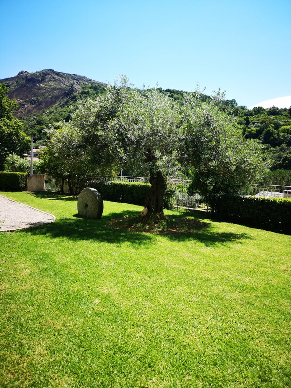 Jardí