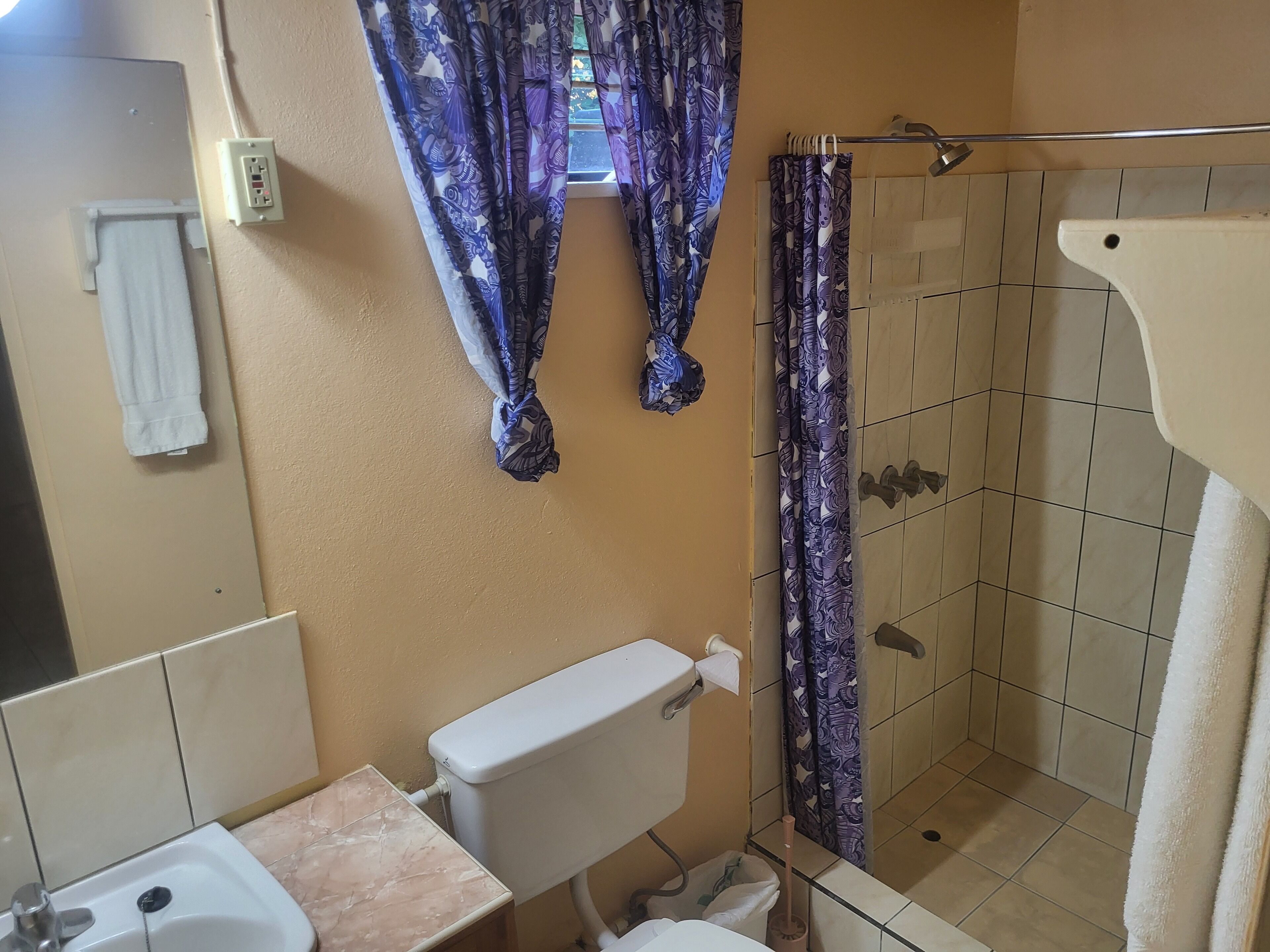 Un bagno dotato di WC, lavandino, doccia e tende a fantasia.