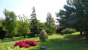 Un jardin bien entretenu, agrémenté de divers arbustes et arbres.