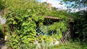 A rustic garden with a wooden structure partially covered by ivy. - Maison Sans Soucis (Sainte-Gemme)