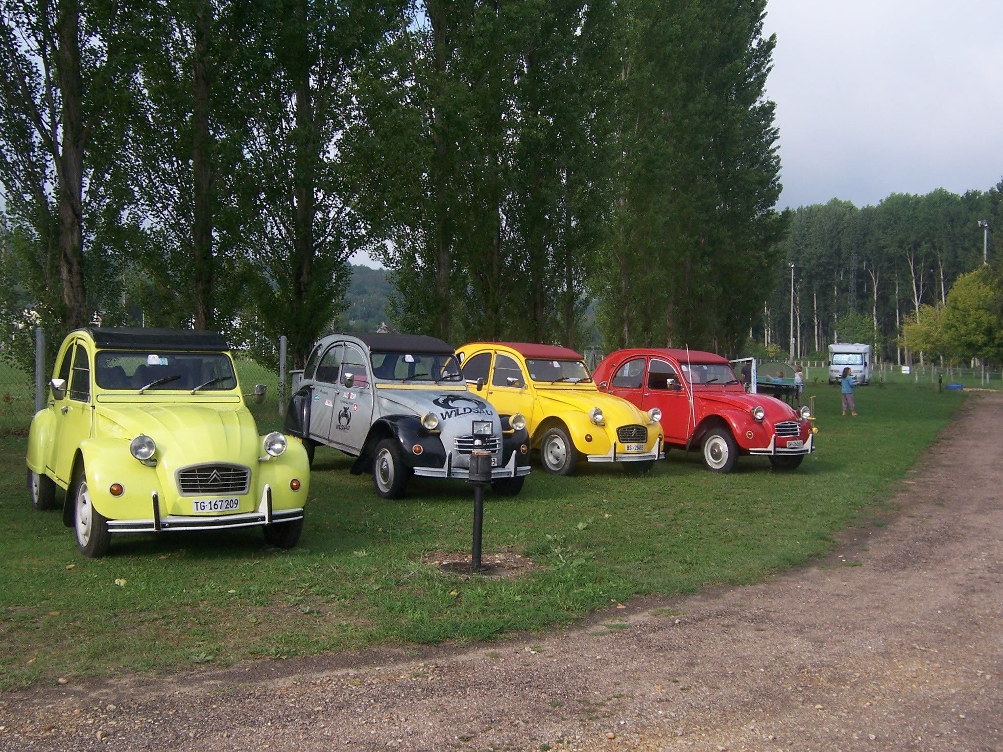 Una hilera de coches antiguos estacionados en una zona verdejante junto a un sendero de tierra.