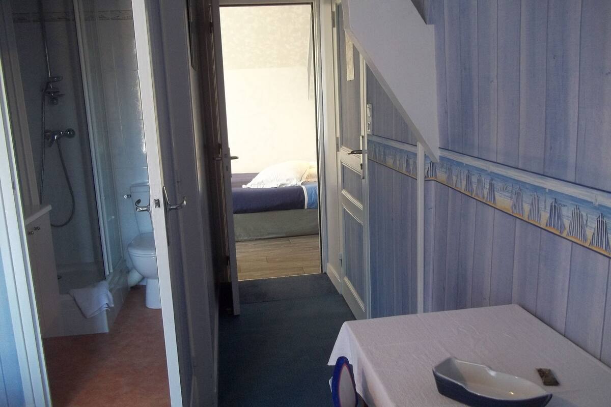 A room with a bed, a sink, and a shower.