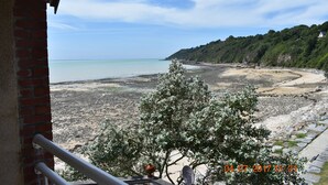 Vista a la playa con un muro de ladrillo, un árbol y una antena parabólica.