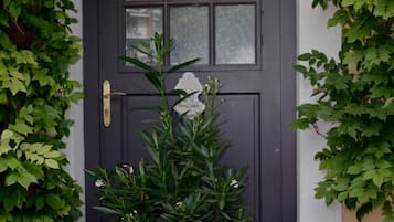 Een donkere deur met een witte bloempot er voor, omgeven door groen.