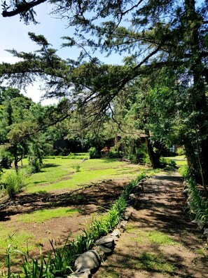 View from property - Villa Yerbabuena (Monteverde)