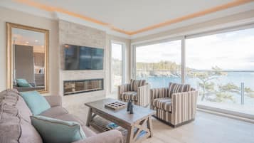 Flat-screen TV, fireplace