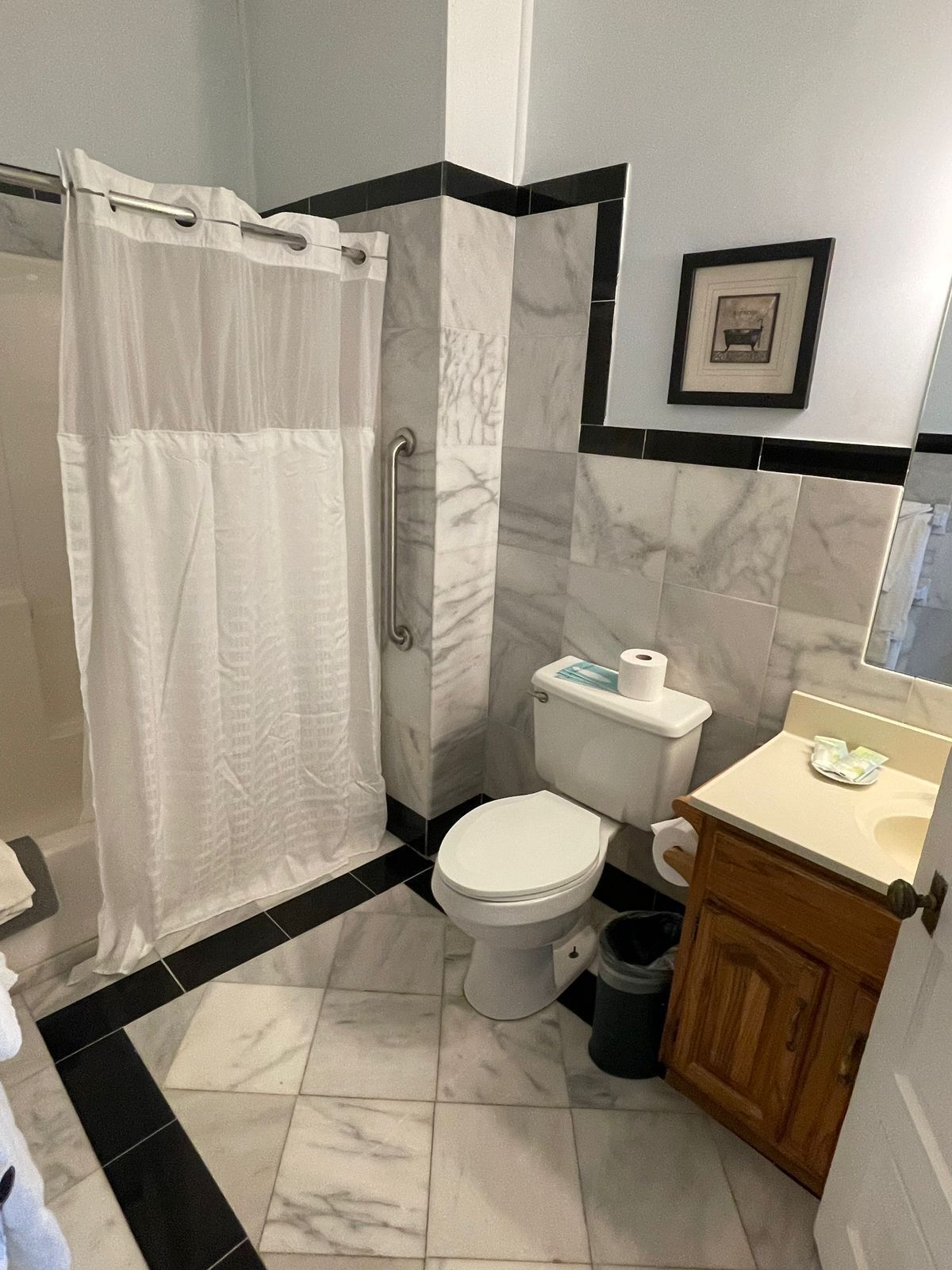 A bathroom with a shower, toilet, sink, and a framed picture on the wall.