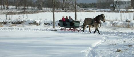 A horse-drawn sleigh on a snow-covered field with a few people in it.