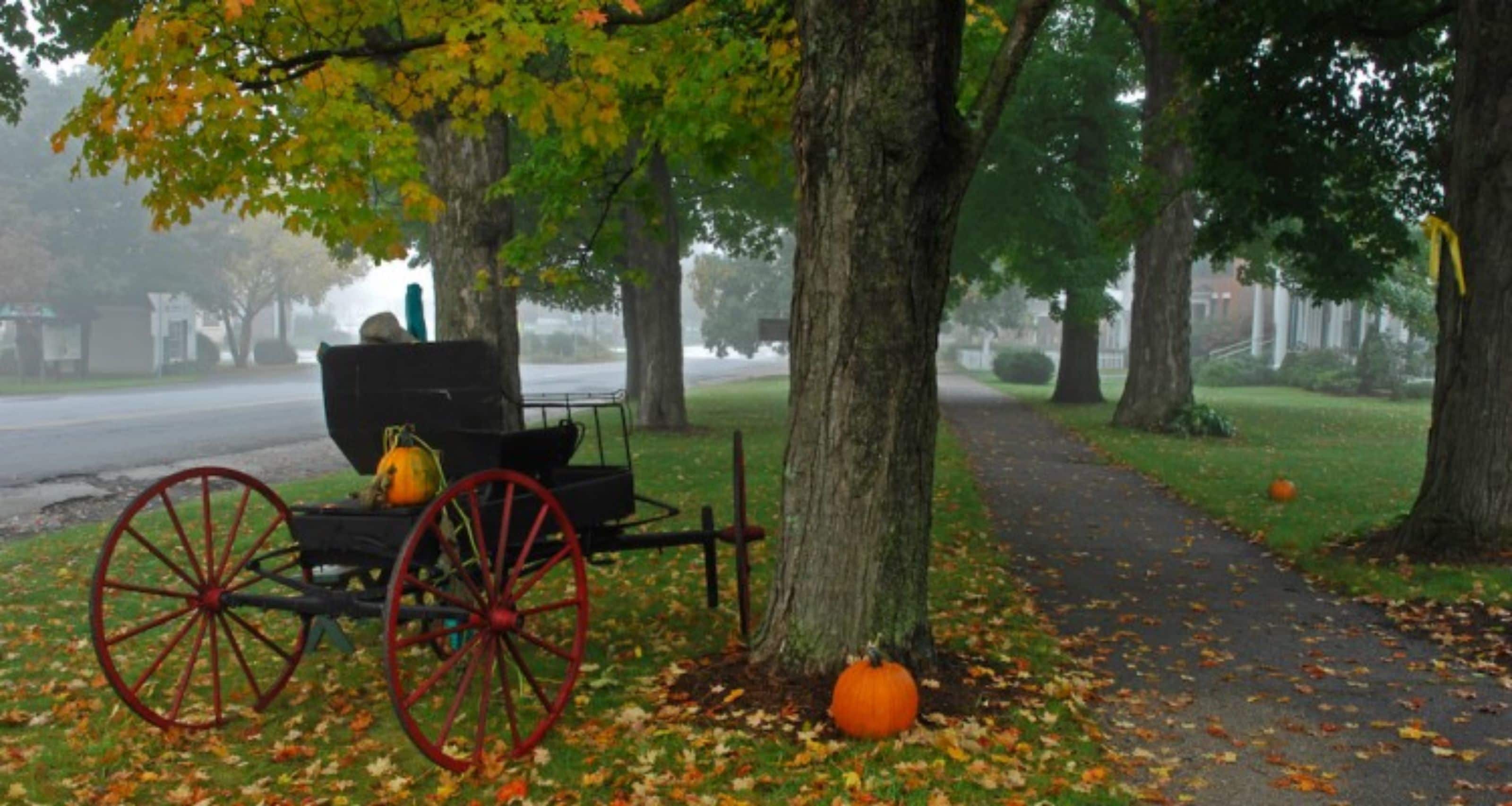 A park with a vintage carriage parked under a tree, surrounded by autumn leaves.