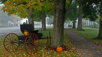 A park with a vintage carriage parked under a tree, surrounded by autumn leaves.