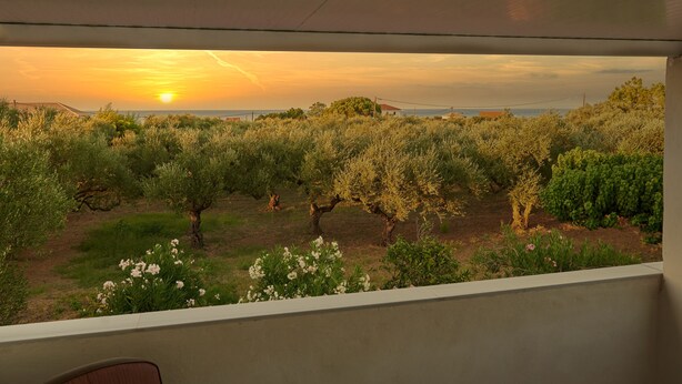 Ein Balkon mit Blick auf einen Olivenhain bei Sonnenuntergang.