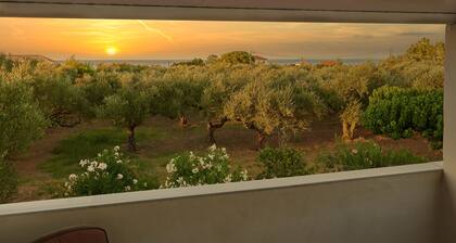 Villa Rania Zante Drosia