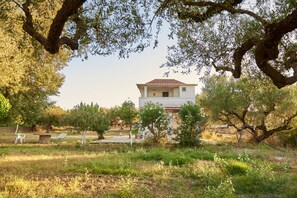 Exterior - Villa Rania Zante Drosia (Zakynthos)