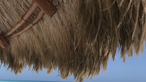 Una playa con una estructura de techo de paja.