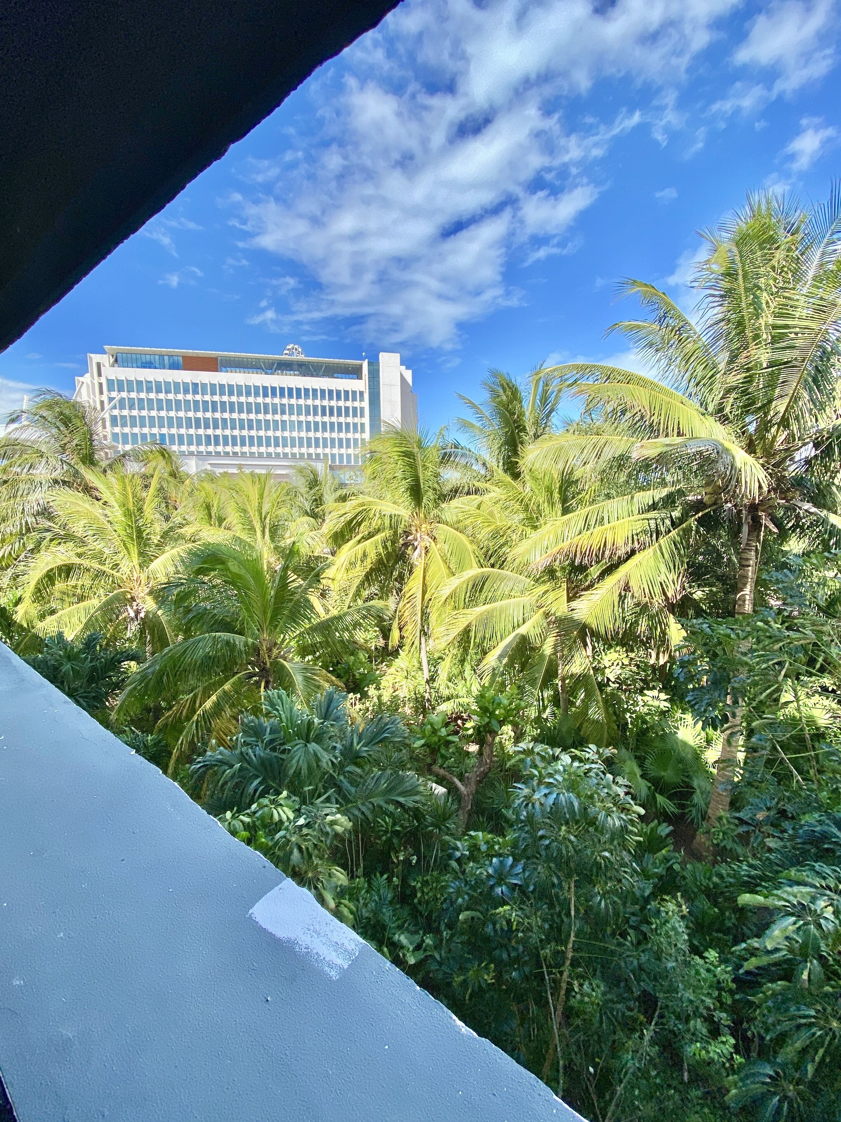 family apartment, 1 bedroom, kitchenette, beachside | view from room
