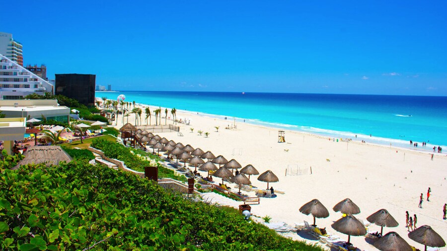 Condo in Ocean Front Resort