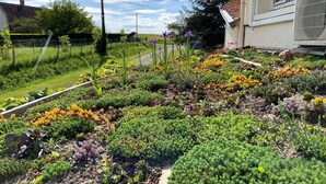Un jardín con diversas plantas y flores, una cerca y un edificio con unidad de aire acondicionado.