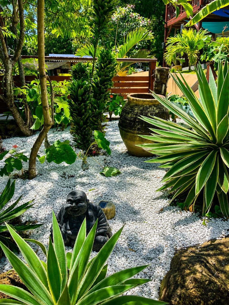 Un jardín con diversas plantas, un banco de madera y una maceta grande.