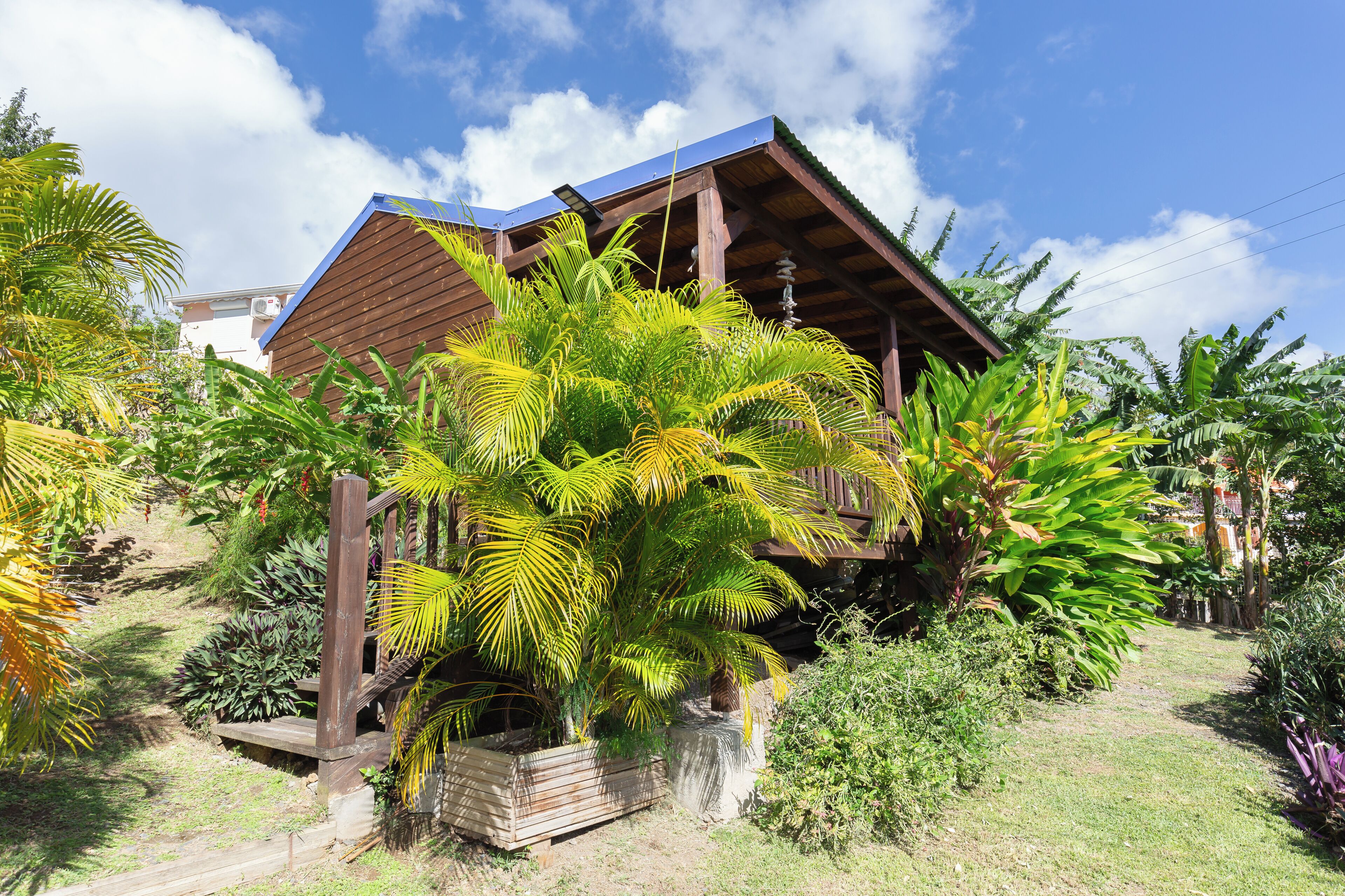 Uma casa de madeira com telhado inclinado, rodeada por vegetação tropical exuberante.