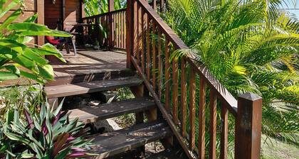 Gite La Tortue Bleue