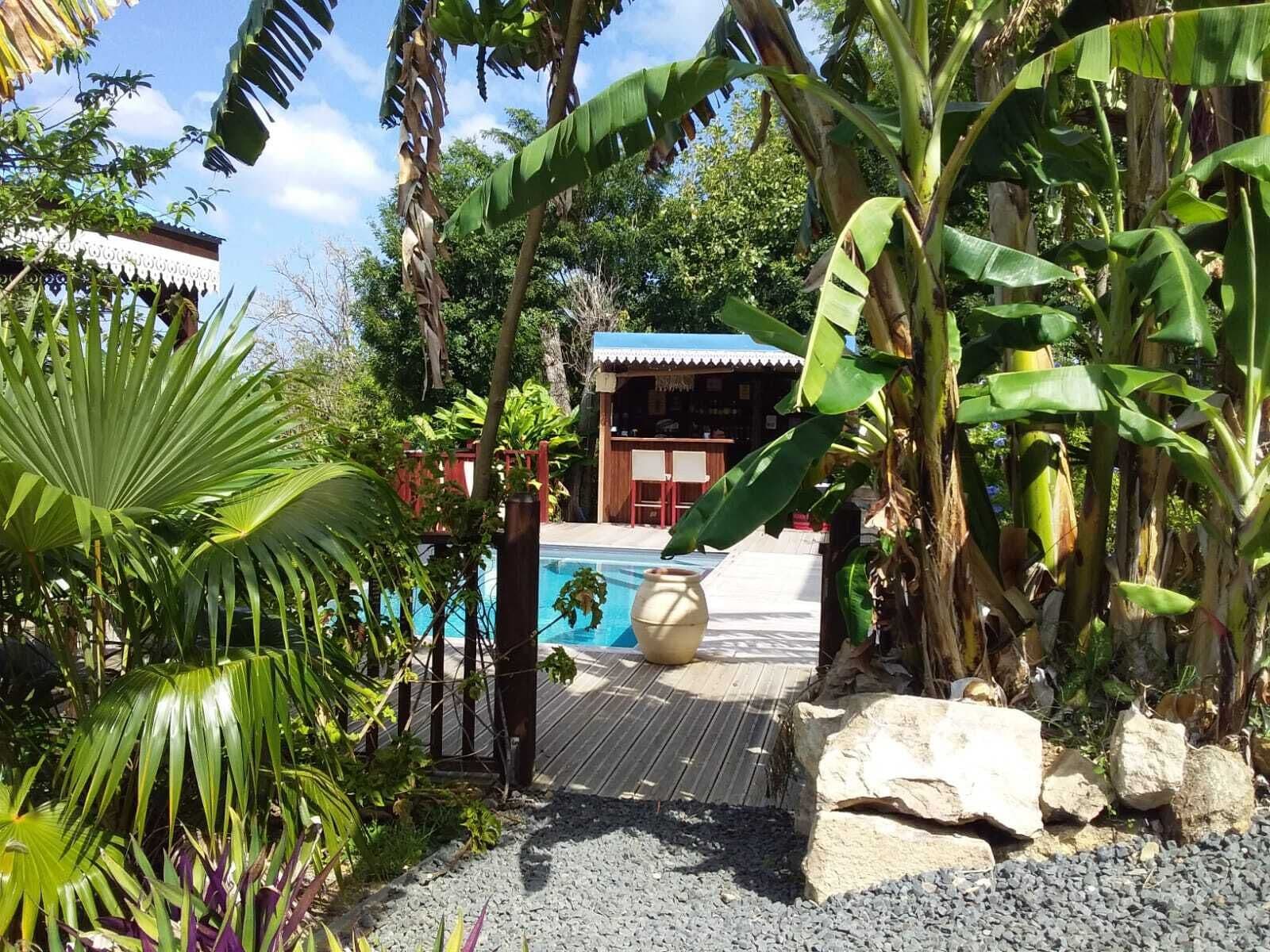 Uma área de piscina com deck de madeira, cercada por plantas tropicais e um edifício com telhado azul.