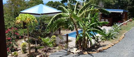 Deluxe Room, 1 King Bed, Refrigerator, Sea View | Beach/ocean view