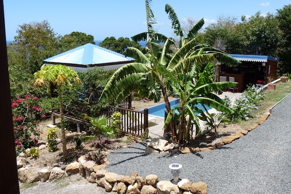 Deluxe Room, 1 King Bed, Refrigerator, Sea View | Beach/ocean view