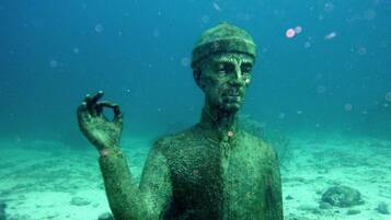 A statue submerged underwater.