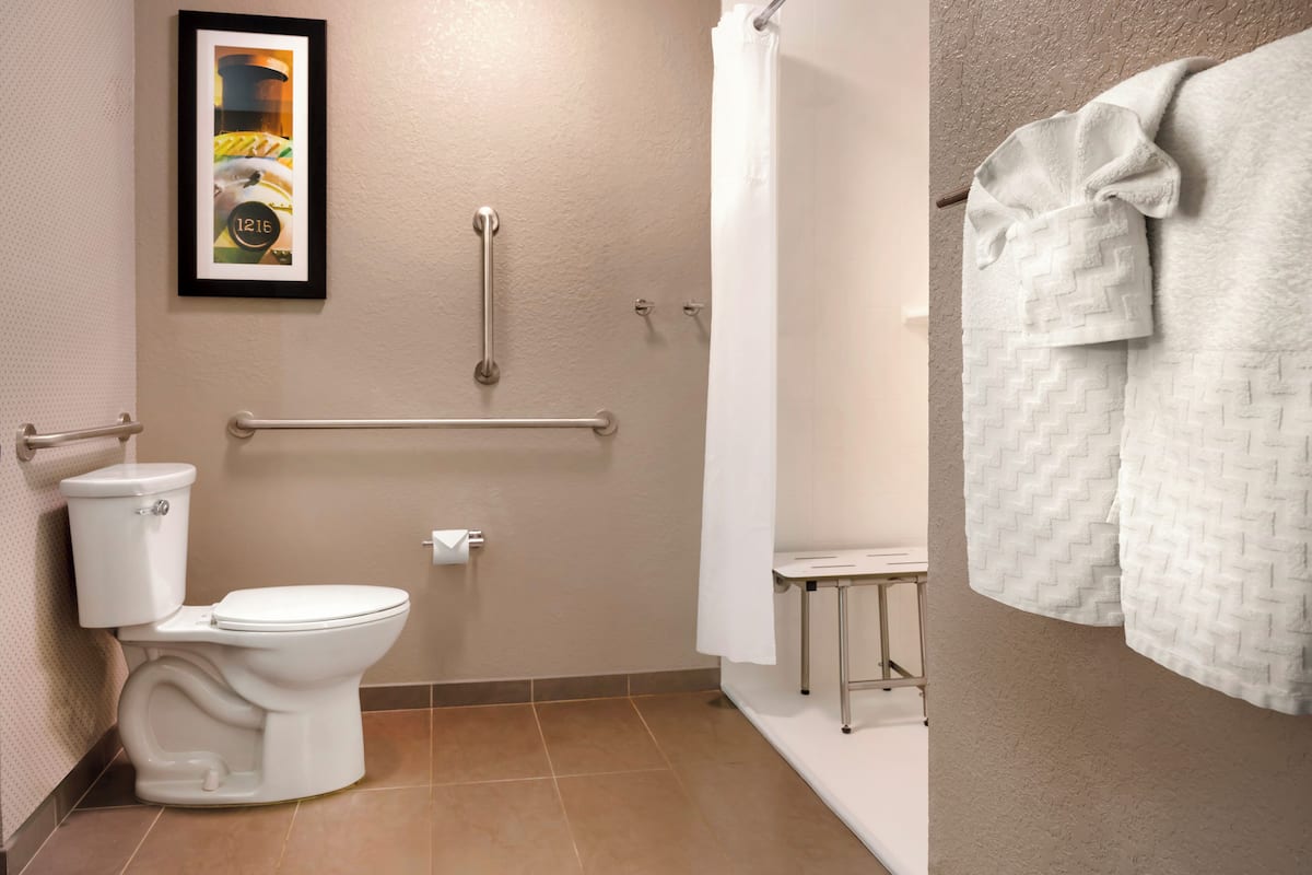 standard room, 1 king bed, accessible, non smoking | bathroom | free toiletries, hair dryer, towels, soap