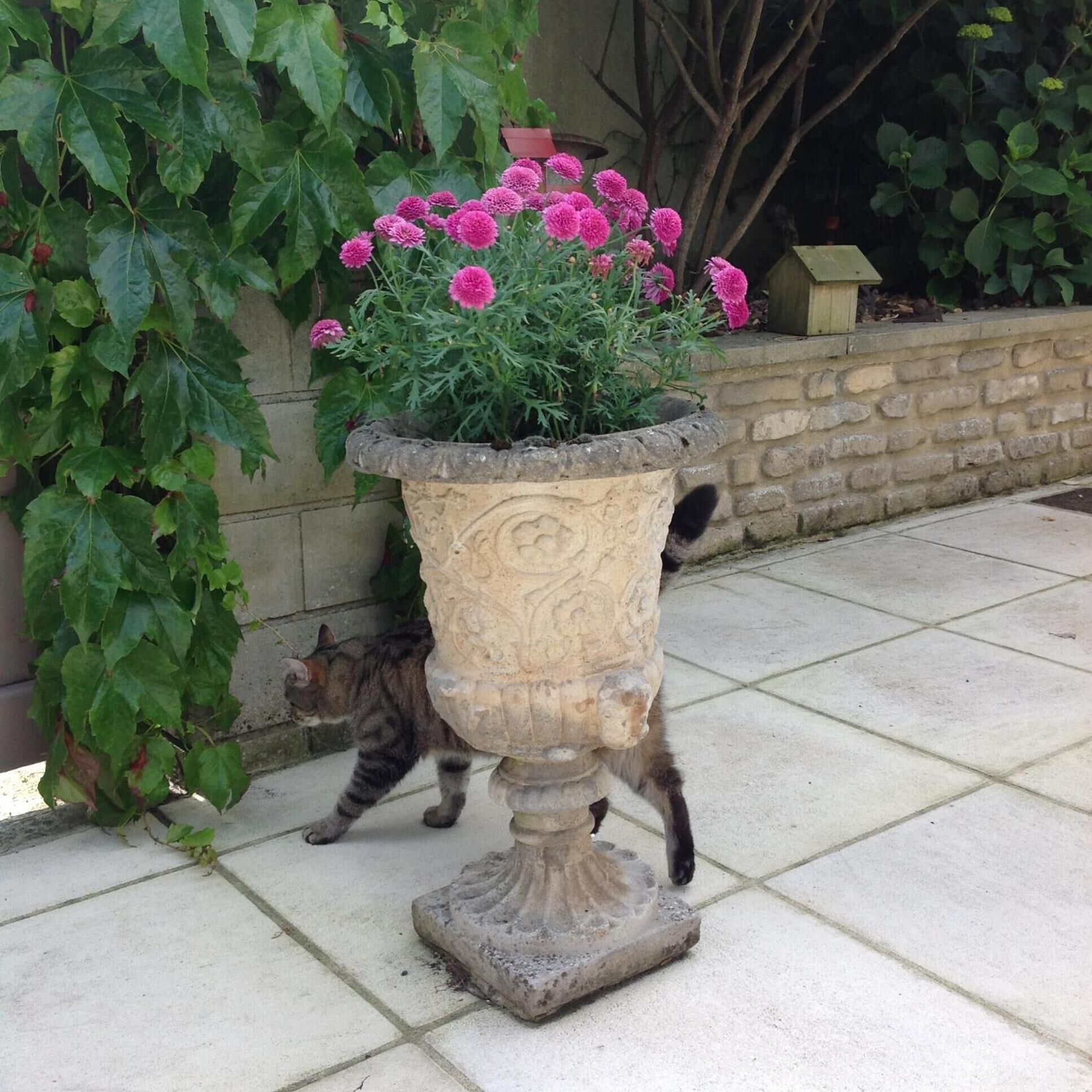 Photo - L'Hôme du Monde