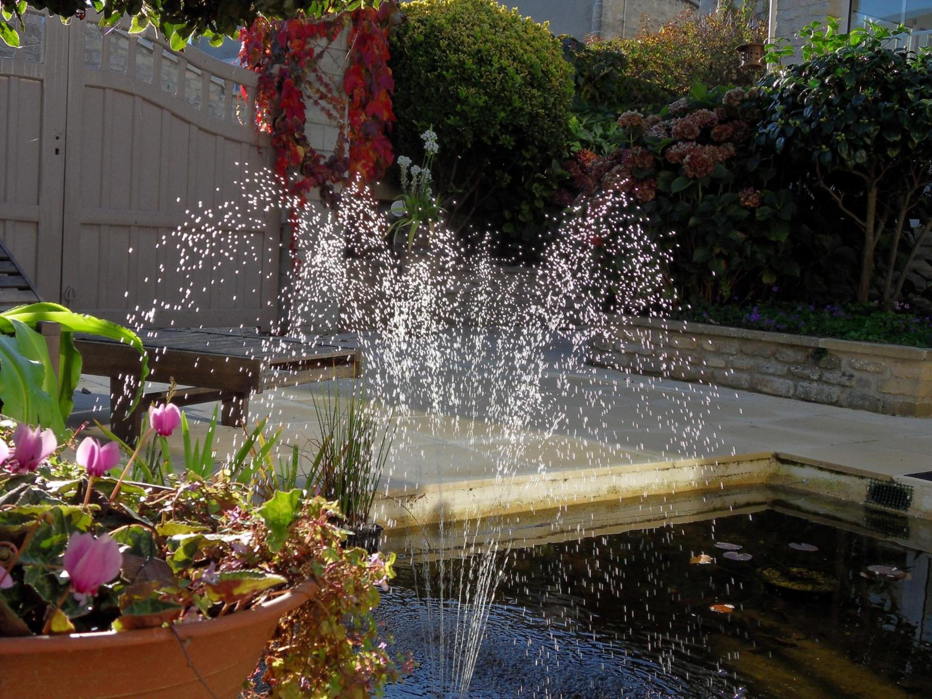 Photo - L'Hôme du Monde