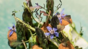A dish with various food items and garnishes on a plate. - Hôtel Chavant (Bresson)