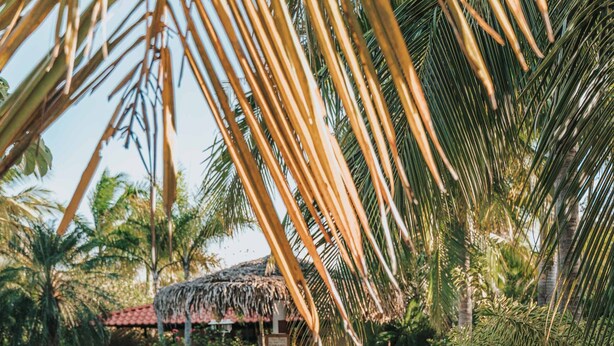 Pool - Drift Away Eco Lodge (Veintisiete de Abril)