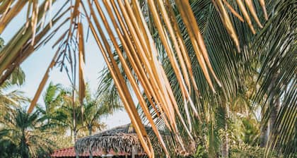 Drift Away Eco Lodge
