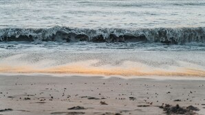 Beach - Drift Away Eco Lodge (Veintisiete de Abril)