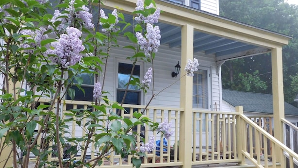 Une maison avec un porche, un escalier et un arbre aux fleurs violettes.