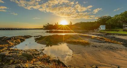 A BEAUTIFUL Beach House FULL OF ALOHA in Hilo