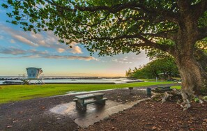 Property grounds - A BEAUTIFUL Beach House FULL OF ALOHA in Hilo  (Hilo)