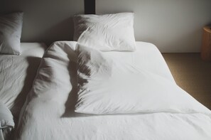 Annex Whole Building, Non Smoking | 7 bedrooms, in-room safe, individually decorated, individually furnished - Hostel Saruya (Fujiyoshida)